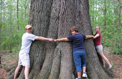 Romantic 1BR Cabin w Hot Tub Near Carbondale - Foto 37