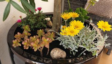 Charming Luz House - T2 apartment with jacuzzi - Photo 5, Garden