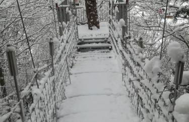 Ferienhaus Wasgaublick - Foto 5