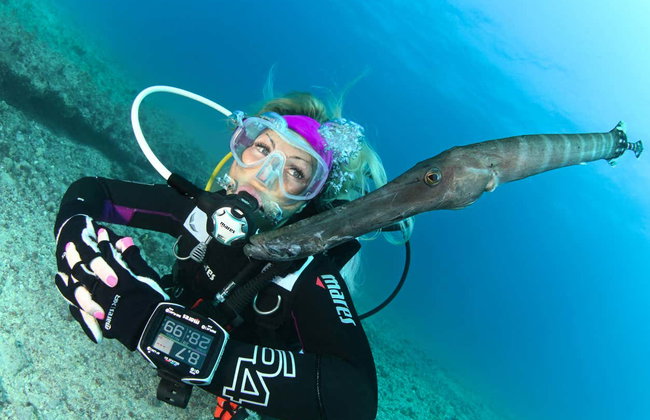 Bautismo de buceo en la isla de Sal - Foto 6