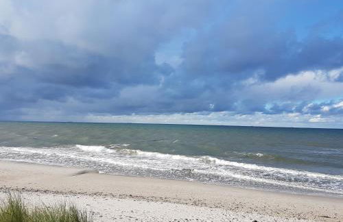 Sonnenstrahl im Küstenwald - Foto 20