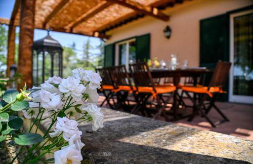 Tenuta Santa Cristina - Foto 39