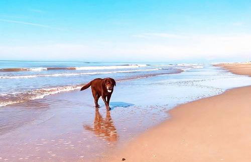 Regina Del Mare Holiday Apartments - Foto 47