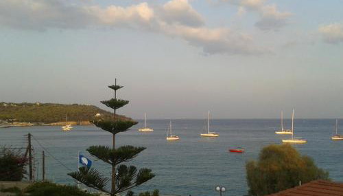 Sunrise Flora - Foto 3