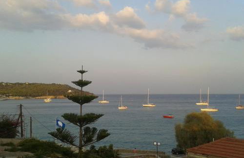 Sunrise Flora - Foto 3