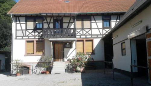 Pferdehof Dörsam - Foto 2