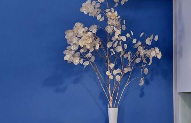 Medusa Residence 100m From the Beach - Foto 6