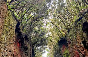 Apartamento Los Picachos, Poris de Abona - Foto 73