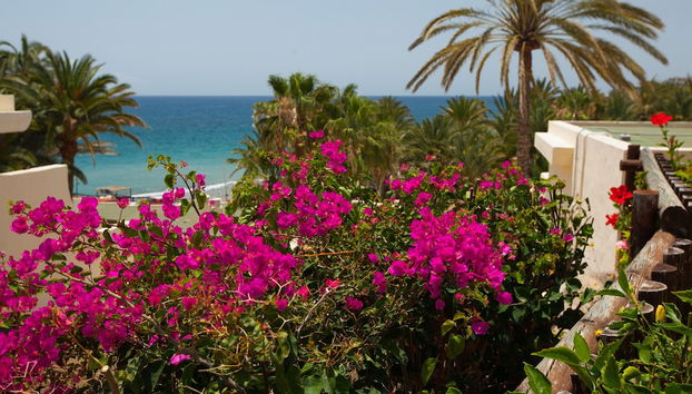 Grupotel Tres Vidas - Foto 2, Imagen principal