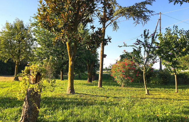 Ca' Rosin Meolo - Camera relax e privacy - Photo 8