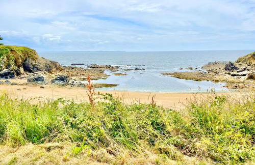 Le Clos des Mouettes - Face à la mer - Wifi Internet Haut Débit - Terrasse - 2 places de stationnement privatives - Foto 1