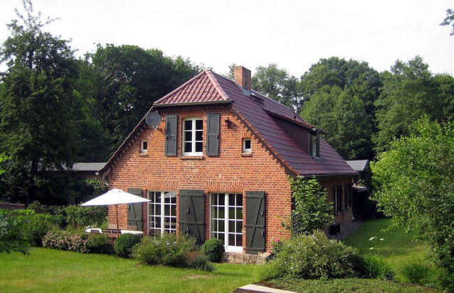 Old Zerwelin Forestry Company - Foto 17