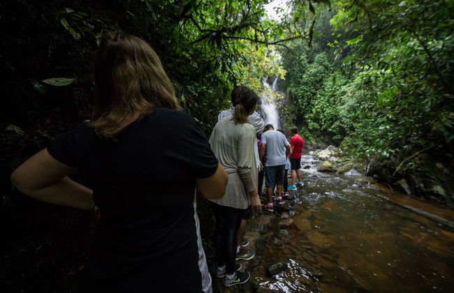 Hotel Fazenda Dona Francisca - Foto 41