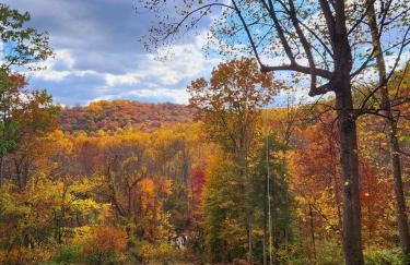 Hidden Gem on Hidden Valley Lane - Photo 32