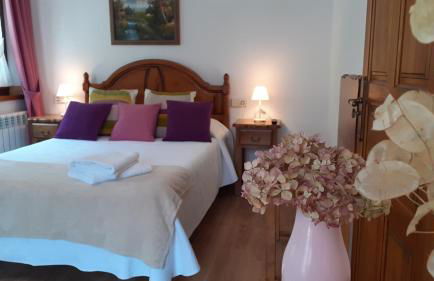 Apartamentos El Haya - Foto 7