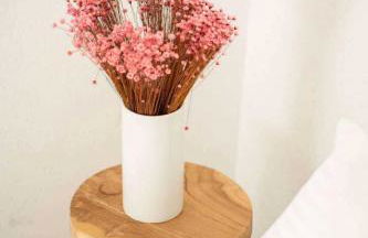 Olympian Chalet - Foto 30