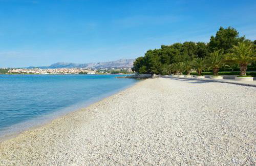 Olive Tree Apartments - Photo 34