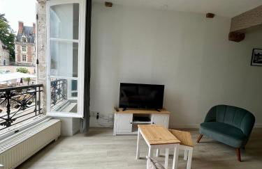 La Place du Château - Vue exceptionnelle sur le château de Blois - Foto 17