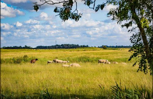 Müllershaus Glück zu - Foto 7