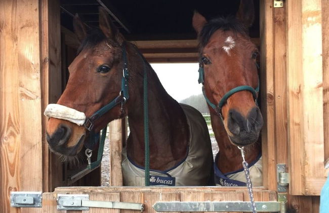 Pleasant Apartment in Munster - Foto 12