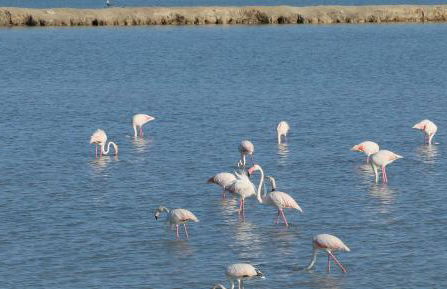 Disfruta frente al mar, a 50 metros, y desconecta - Foto 18