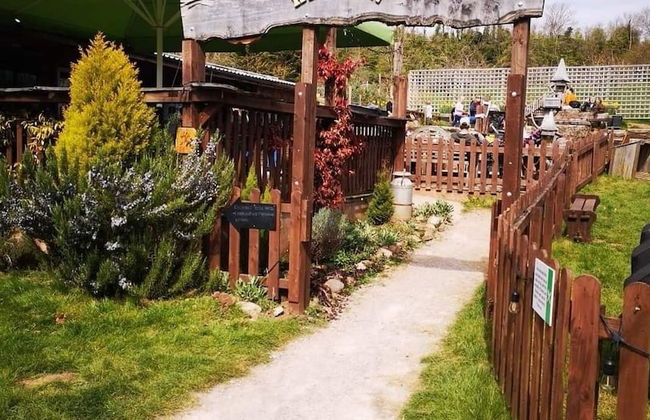 Torre Cider Farm - Foto 49