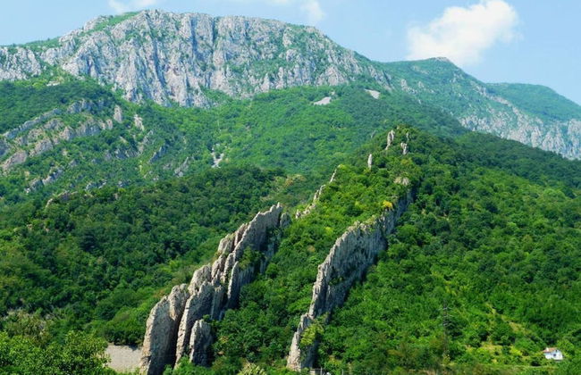 Dream House - Photo 21