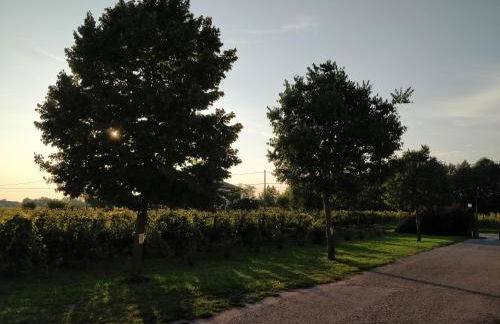 Agriturismo Gazza Ladra - Foto 28