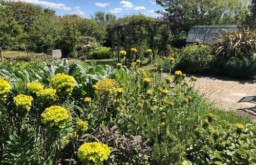 St Edwards Cottage, Tintagel - Foto 52