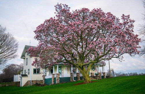 Wine Country Oasis Charming Farmhouse 10 Acres - Foto 21
