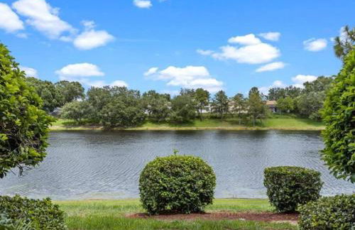 Theme Park Paradise! - Foto 45