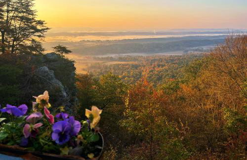 Cabin in the clouds 3BR, 2BA - Foto 61