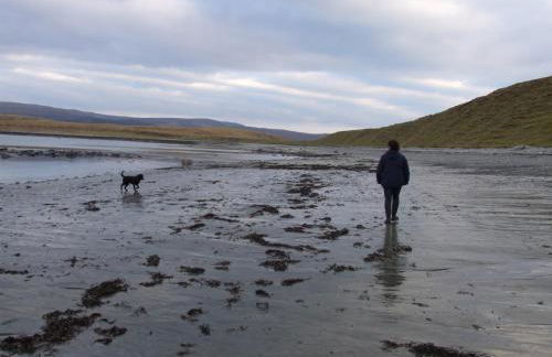 "Balmoral View" - Foto 34