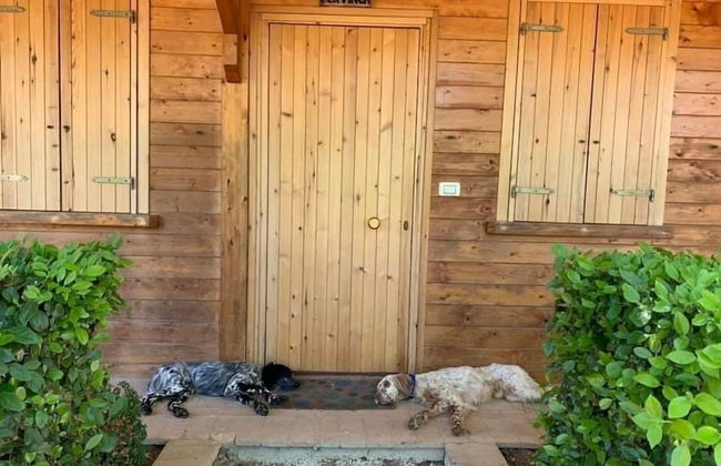 Setter House Agri Hotel - Foto 15