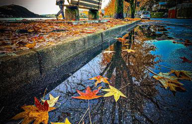 Lakes and Mountains Magic Holiday House - Foto 27