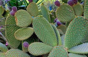 Roumatsali home - Hidden 2BR historical gem - Foto 26