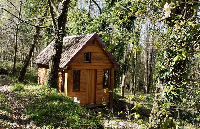 Associação Quinta das Relvas - Foto 1