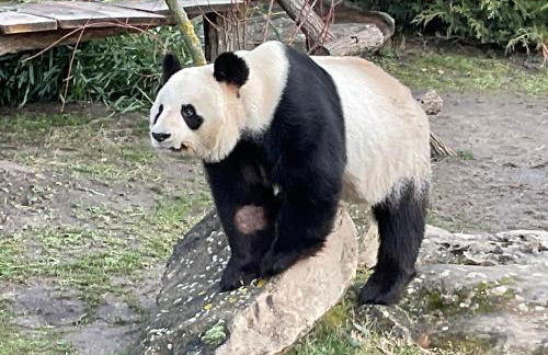 Au Coeur des Châteaux - Foto 36