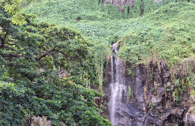 Les chambres des vacoas - Foto 12