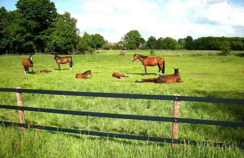 Moderne Wohnung umgeben von Weinbergen - Foto 21