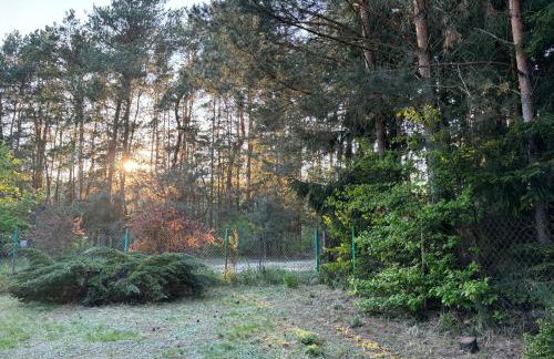 Leśny Zakątek - Foto 35