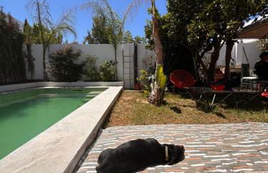 Vila Nogueira De Azeitao - Amaral's Guest Houses - Foto 18