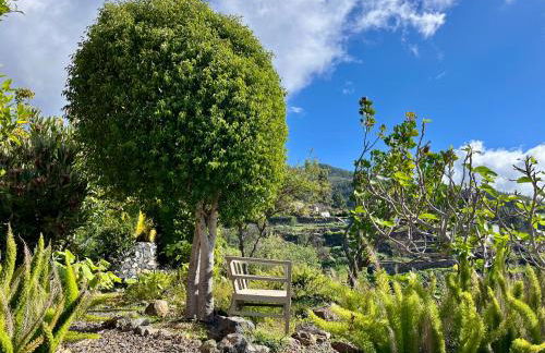 Villa Buena Vista - Foto 53