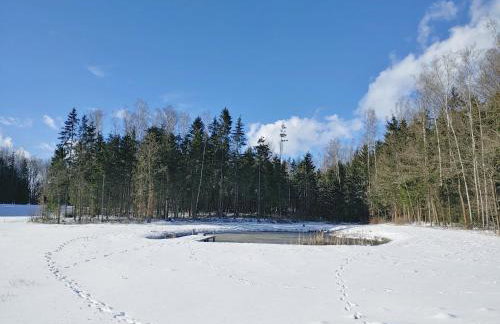 Leśny Reset - Foto 15