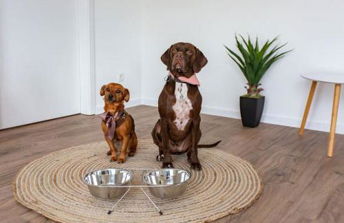 Exklusive COZY 3-Zi-Penthouse mit großer Dachterrasse Nähe Europa Park und Rulantica - Photo 23