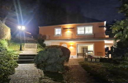 Waldhaus zum gechillten Hirsch in der Natur, bei der Moseltherme Traben-Trarbach - Foto 35