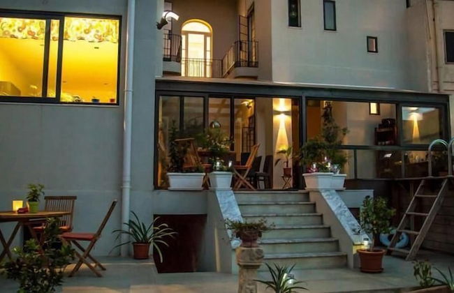 Maltese Maltese - Foto 57