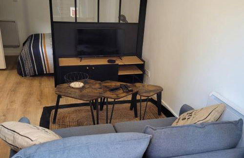 Studio cosy Saint-Étienne centre ville - Foto 7