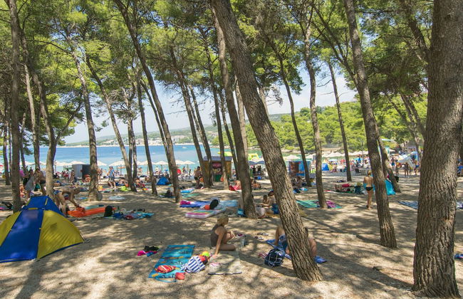 Apartments Sanja - Foto 1