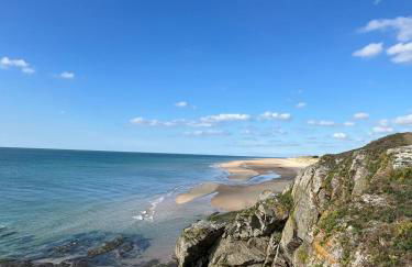 Les Sternes - Foto 68